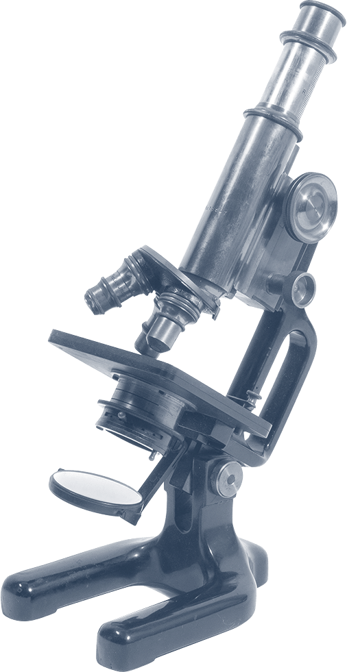 Microscope de Werner Renfer.